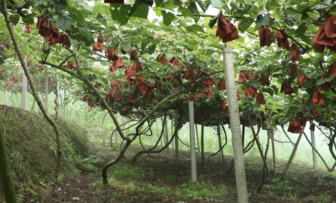 /ueditor/image/20231204/1701652060034611/微信截图_20231204090505.jpg 微信截图_20231204090505.jpg