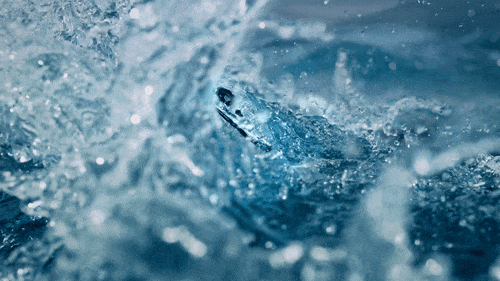 1703755391292769.png 图片 7.png