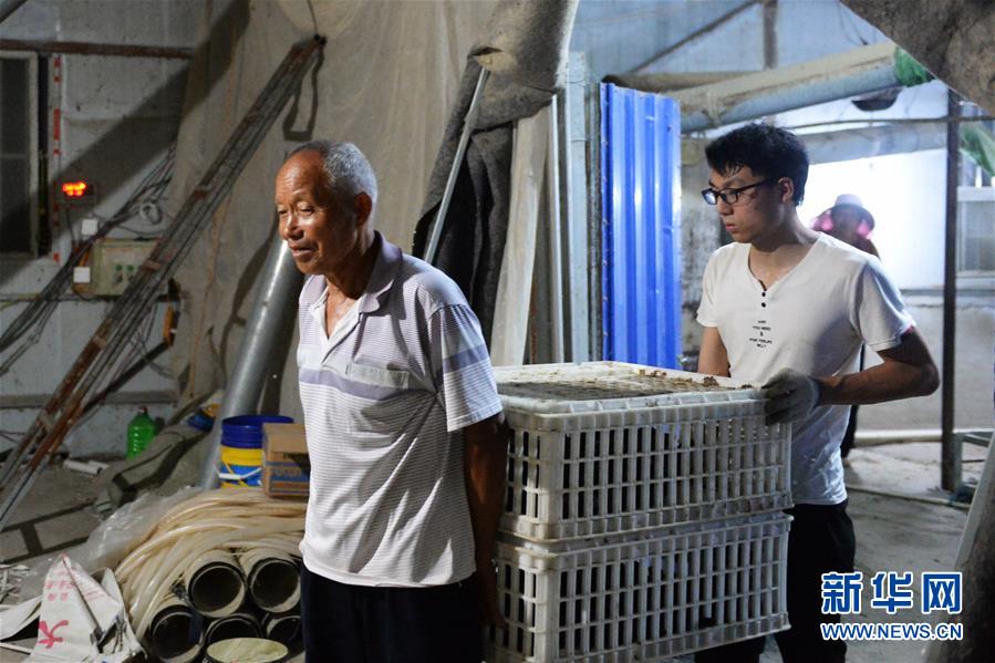 (防汛抗洪)(1)淮河蒙洼蓄洪区深夜转移