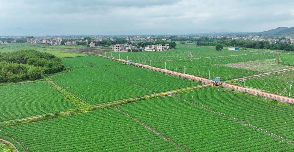 /ueditor/image/20240310/1710034166692140/微信截图_20240310092906.jpg 微信截图_20240310092906.jpg