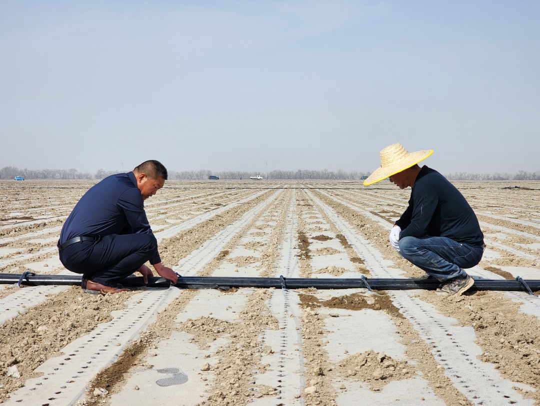 /ueditor/image/20240416/1713237663747942/微信截图_20240416111911.jpg 微信截图_20240416111911.jpg