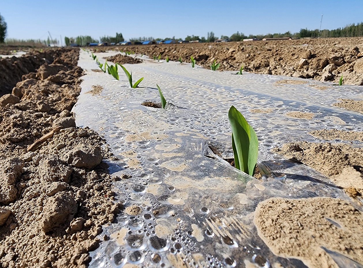 /ueditor/image/20240428/1714305246014350/微信截图_20240428195215.jpg 微信截图_20240428195215.jpg