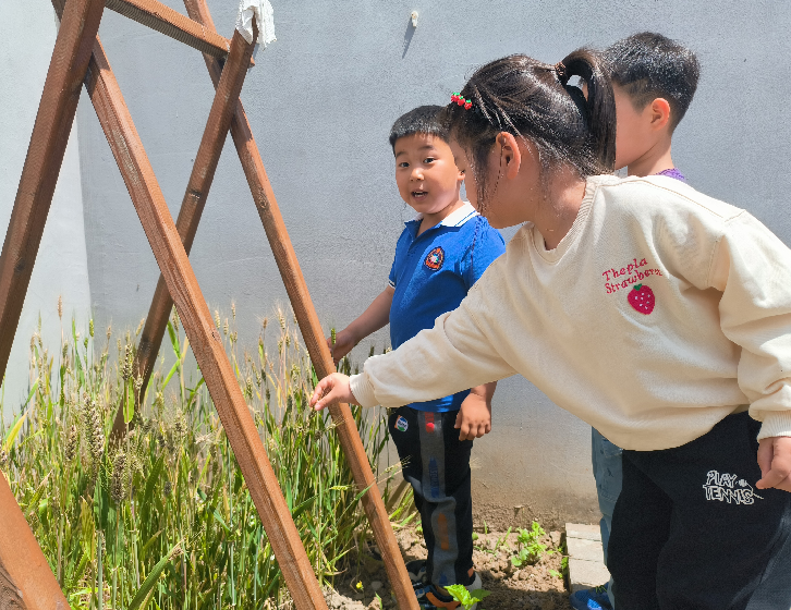 /ueditor/image/20240603/1717422488025906/Screenshot_20240603_214431_com.tencent.mm.png Screenshot_20240603_214431_com.tencent.mm.png