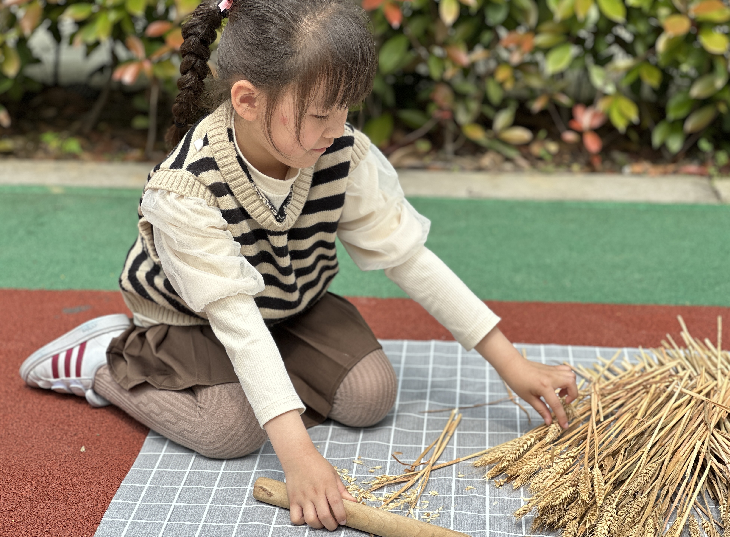 /ueditor/image/20240603/1717422526999262/Screenshot_20240603_214506_com.tencent.mm.png Screenshot_20240603_214506_com.tencent.mm.png