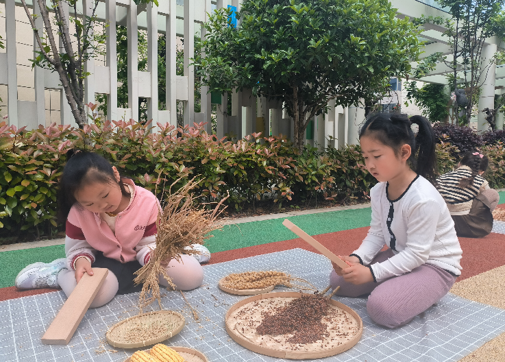 /ueditor/image/20240603/1717422600823045/Screenshot_20240603_214537_com.tencent.mm.png Screenshot_20240603_214537_com.tencent.mm.png