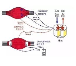 /ueditor/image/20240607/1717755675077028/微信截图_20240607181859.jpg 微信截图_20240607181859.jpg