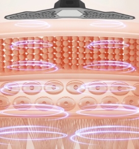 /ueditor/image/20240607/1717755744881878/微信截图_20240607181919.jpg 微信截图_20240607181919.jpg