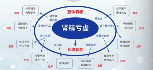 mmexportd74a7711615fe26ed33f27a74e806ebc_1737351243927.png