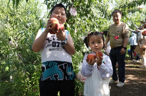 /ueditor/image/20260630/1782775813199559/微信截图_20260630072740.jpg