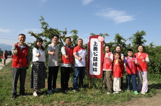 /ueditor/image/20260630/1782775909147890/微信截图_20260630072833.jpg 微信截图_20260630072833.jpg