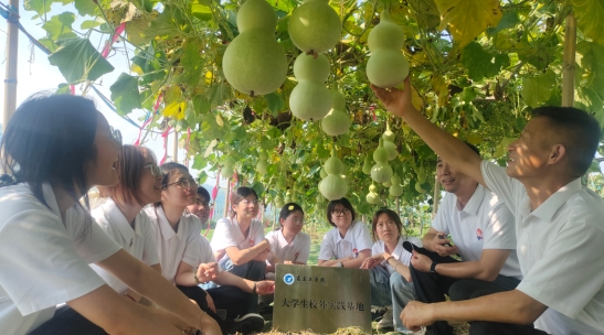 微信截图_20260707100242.jpg
