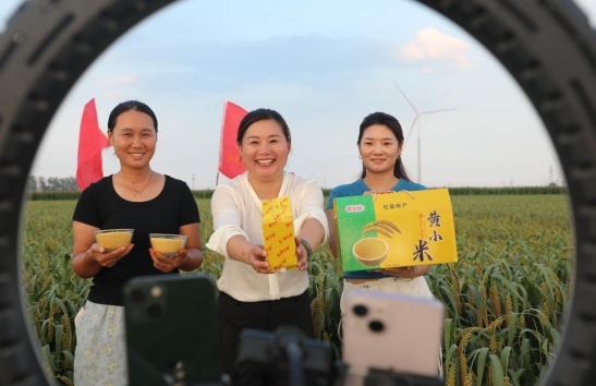 /ueditor/image/20260823/1787451253987666/微信截图_20260823101311.jpg 微信截图_20260823101311.jpg