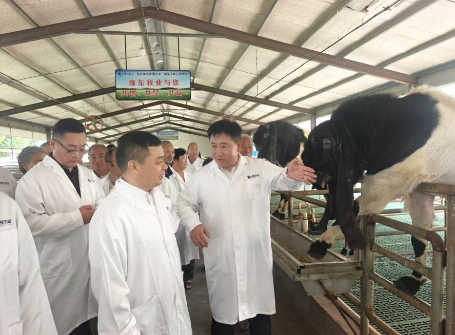 /ueditor/image/20260909/1788942824375467/微信截图_20260909163050.jpg 微信截图_20260909163050.jpg