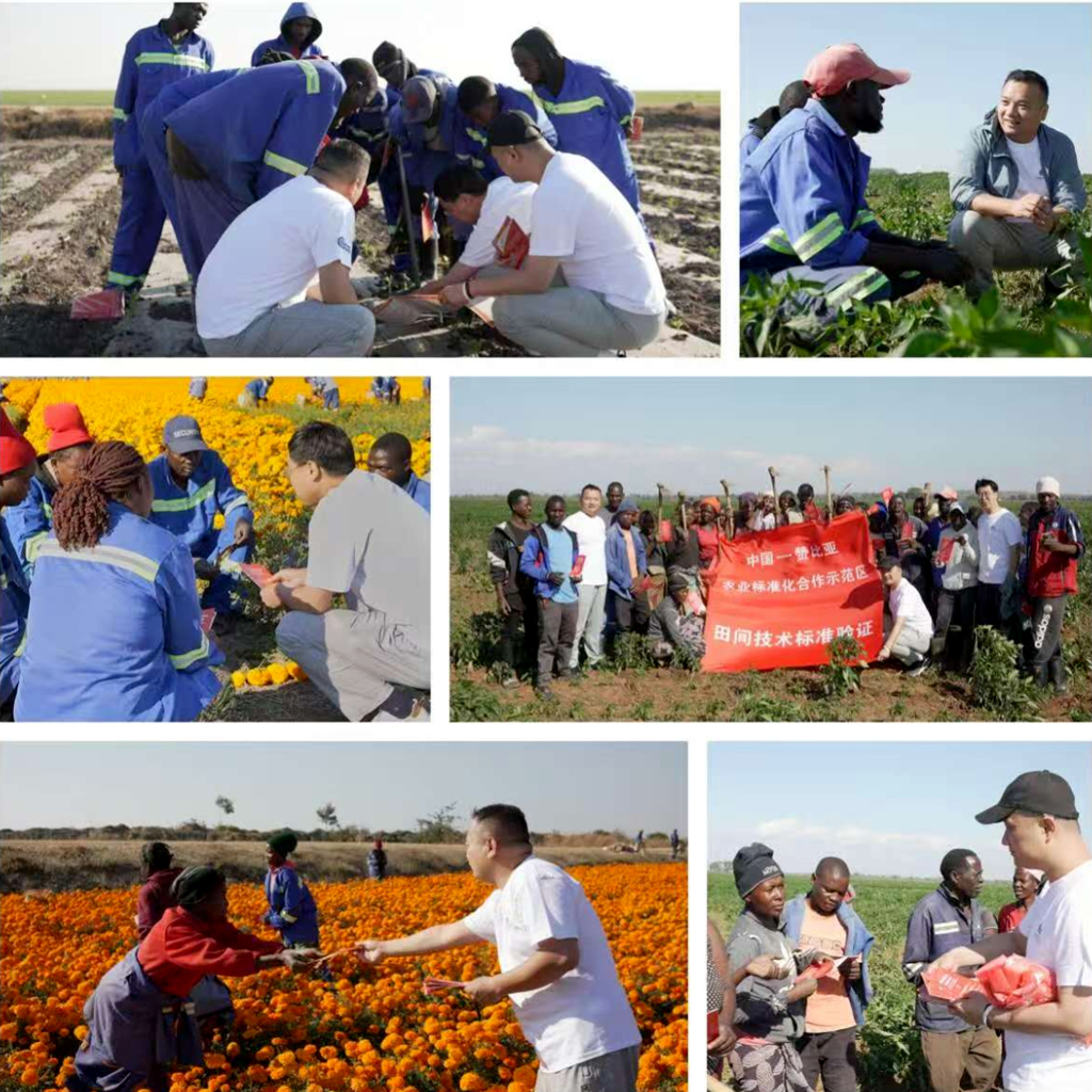 图为培训现场。受访方供图