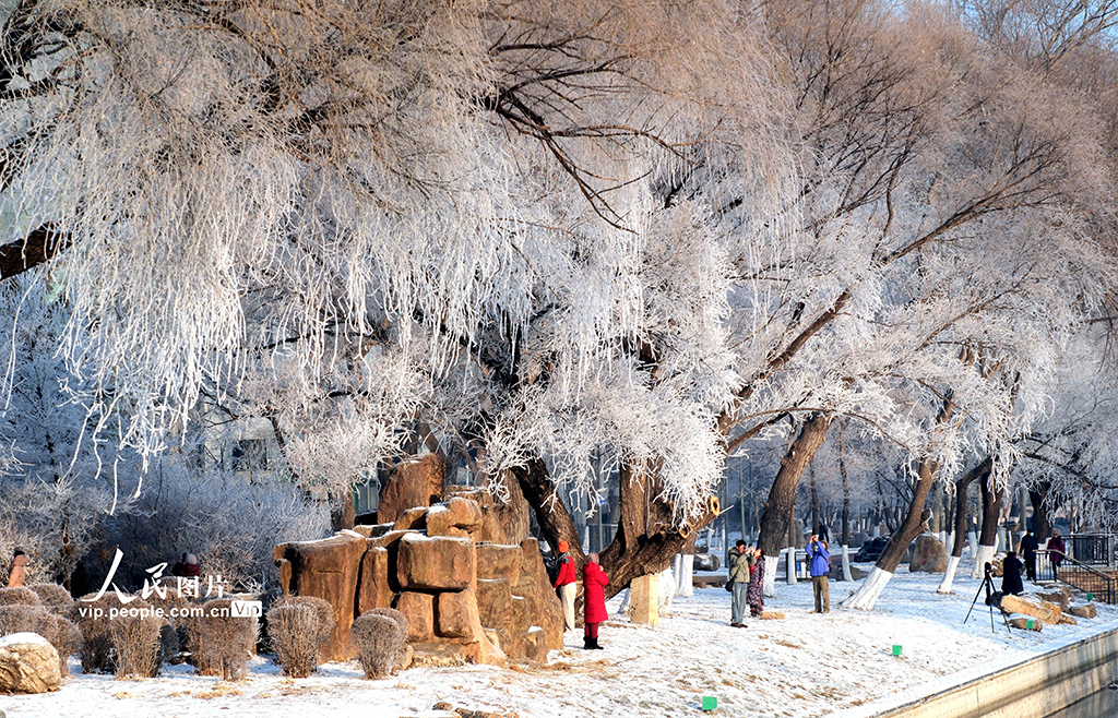 辽宁沈阳：雾凇美景醉游人