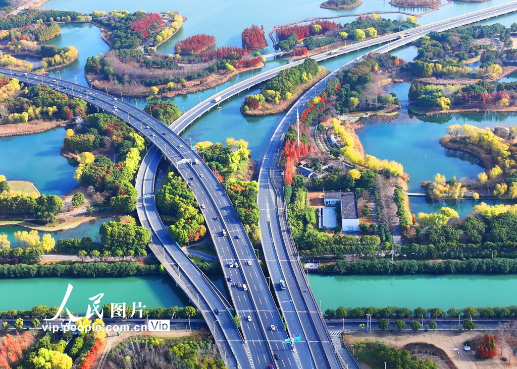 江苏苏州：虎丘湿地色彩斑斓美如画