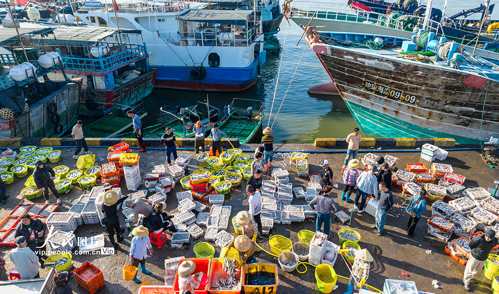 海南琼海：渔港交易忙