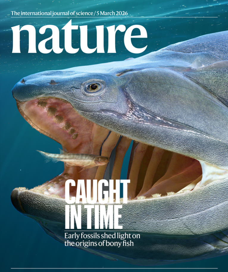 2026年3月5日《自然》杂志封面。图为始骨鱼（中）和宏颌鱼三维复原。中国科学院古脊椎所拟石古生物可视化实验室供图