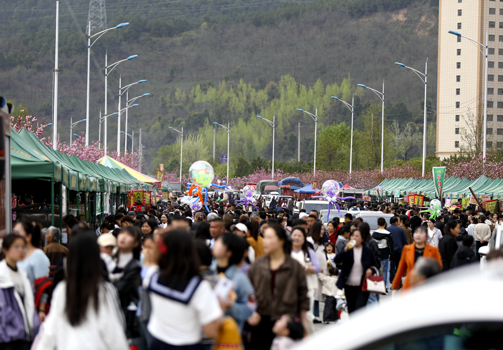 樱花节上的小吃一条街。主办方供图