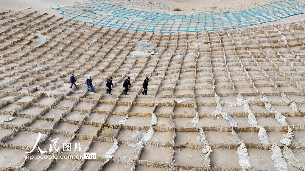 甘肃临泽：压沙织网正当时