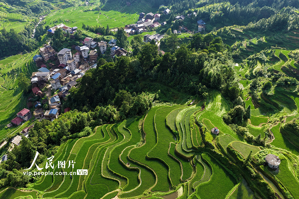 广西融水：生态苗寨入画来