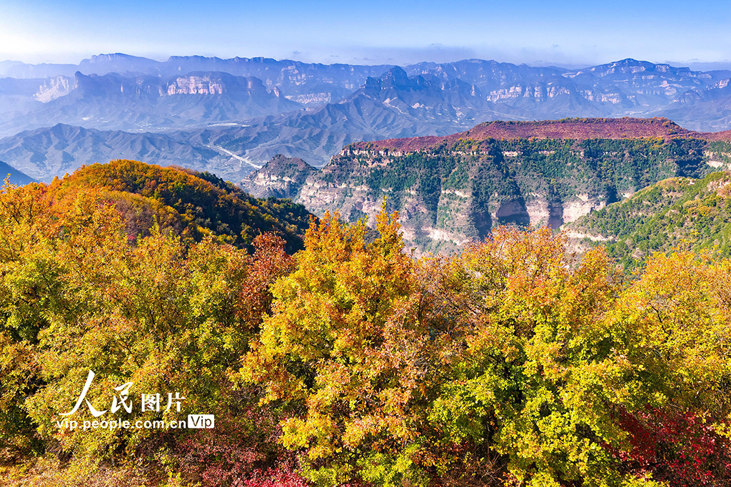 山西左权：太行秋色入画来
