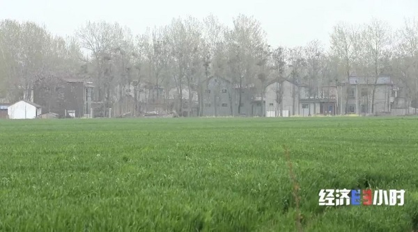 微信图片1.jpg