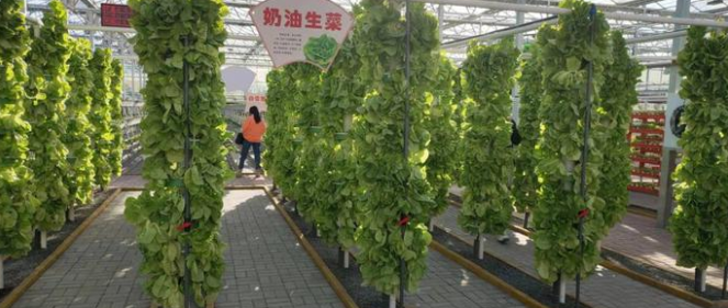 微信截图_20211206074058.png
