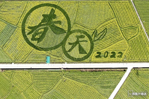 1647072303724_314.jpg