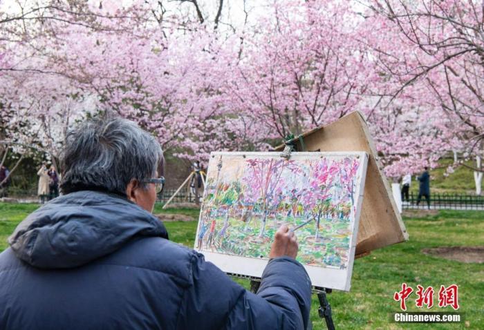 北京玉渊潭公园春和景明，吸引游人流连花海。　 <a target='_blank' href='/'>中新社</a>记者 侯宇 摄