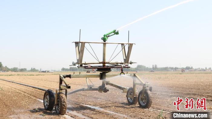 河北景县10万亩抗旱节水杂粮作物播种正忙