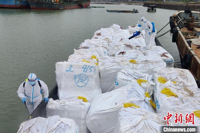 图为工作人员对冻品进行消杀。　福州海警局供图