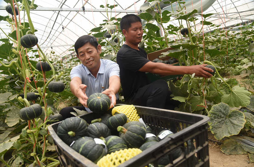 1654695369225524.png 1654695369225524.png