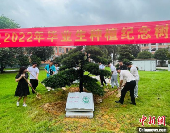 广西高校“00后”毕业季种植毕业树“拉满”仪式感