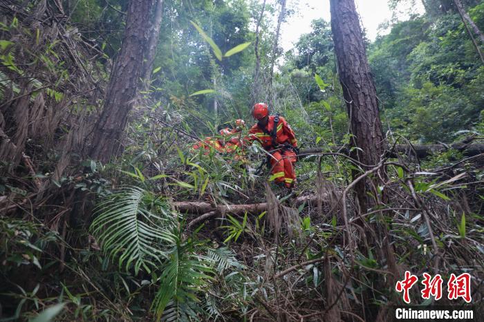 福建龙岩：4名村民进山迷路失联森林消防紧急搜救