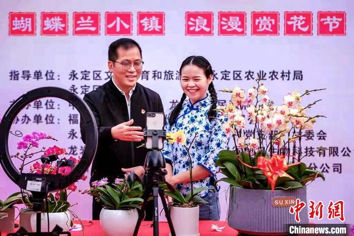 直播销售蝴蝶兰。 永定区融媒体中心供图 直播销售蝴蝶兰。 永定区融媒体中心供图