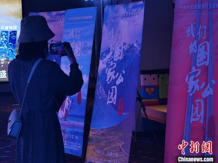 图为观众参观展板。　祁增蓓 摄