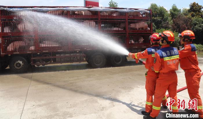 湖北咸宁:120头生猪中暑司机求助消防送水降温