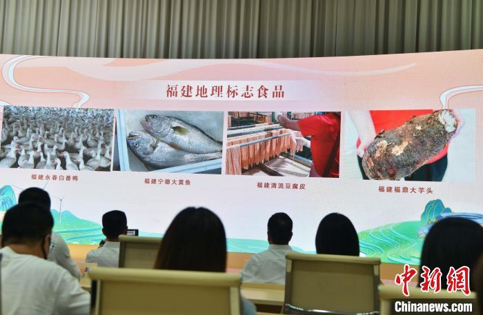 图为该纪录片聚焦福建地理标志农产品，如宁德大黄鱼、东山小管、清流豆腐皮等农产优品。　张斌 摄