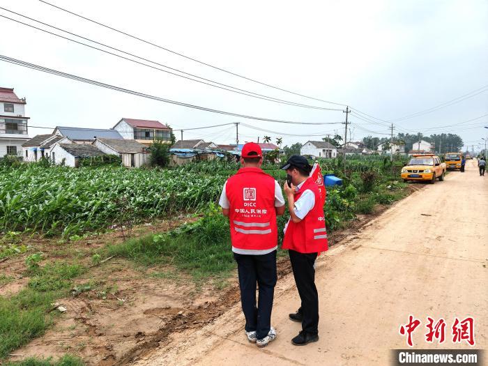 保险公司工作人员在登记损失情况。　谷华 摄