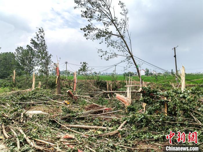 江苏龙卷风受灾地村民忙不停：收拾房屋补种农作物
