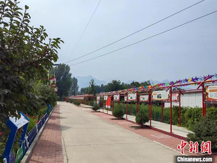 图为道路宽敞整洁的柳条庄村。　陈雪 摄