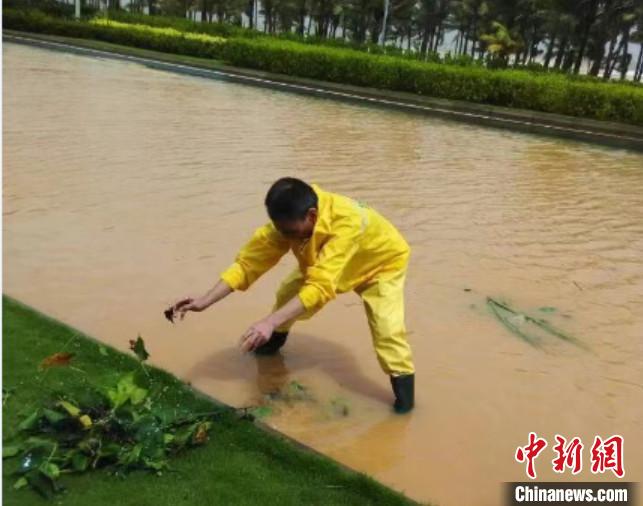 图为陈清琪在台风天气中排水。　陈清琪供图