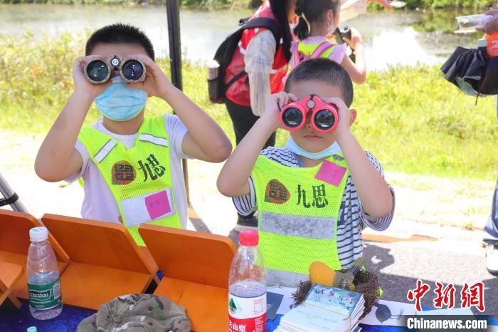 小朋友开展自然观察活动 广东省林业局 供图