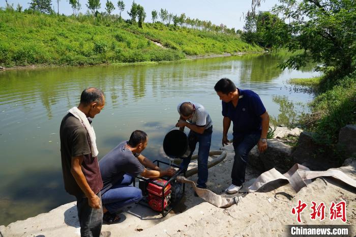 图为重庆梁平区水利局从龙溪河抽水到仁贤街道广福村三国志砂糖桔果园，解决果园干旱缺水问题。　重庆市水利局供图