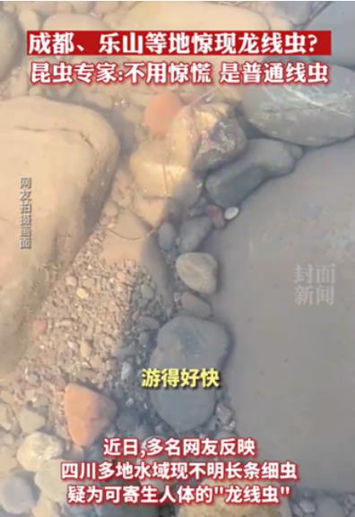 视频截图 视频截图