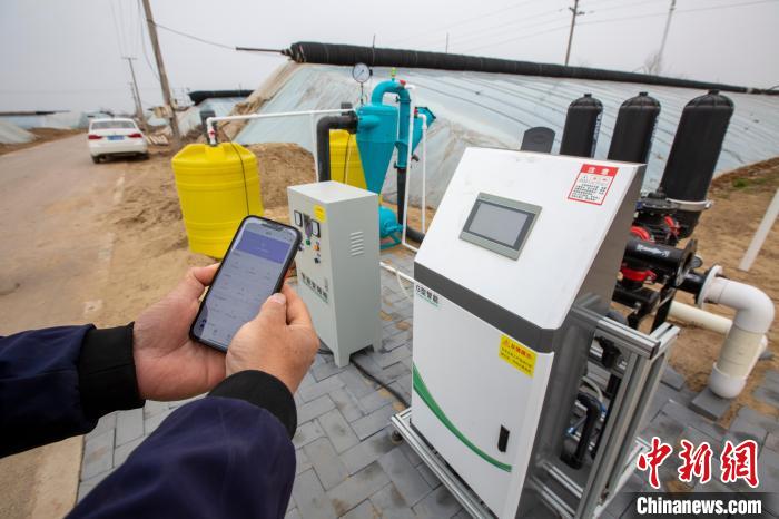 图为在饶阳县大尹村镇棚菜种植区，用手机APP就可以操控智能微滴灌水肥一体化设备给棚菜灌施水肥。　王晓 摄