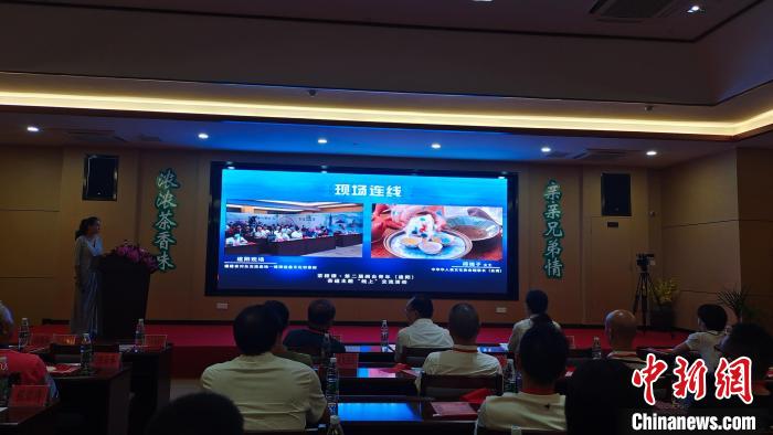 8月18日,两岸嘉宾现场连线。 张丽君 摄 8月18日,两岸嘉宾现场连线。 张丽君 摄