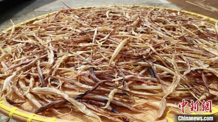 渔村村民一天晒出的鱼鲞品种至少10余种 吴立高供图