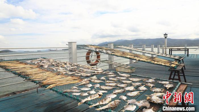 秋风起晒鱼鲞浙东渔村“晒秋”晒出共富新愿景
